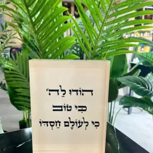 מעמד אקרילי הודו לה כי טוב 004