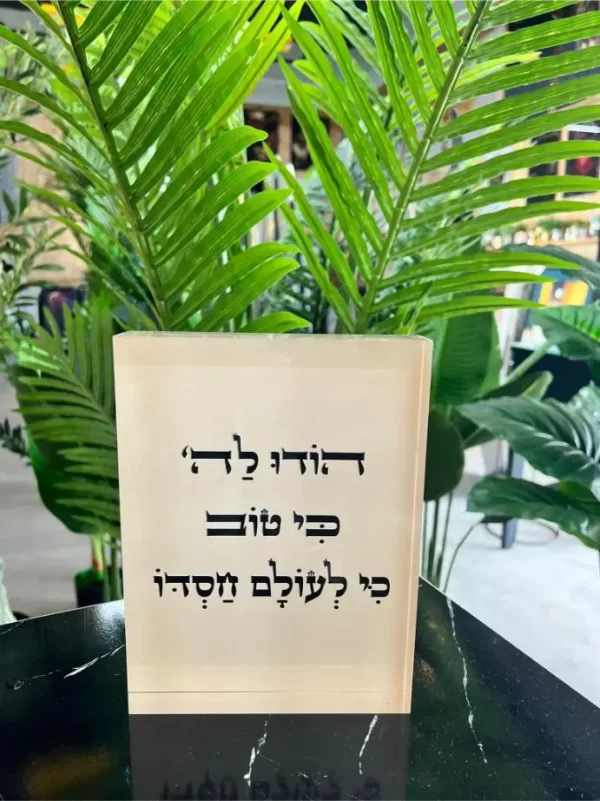 מעמד אקרילי הודו לה כי טוב 004