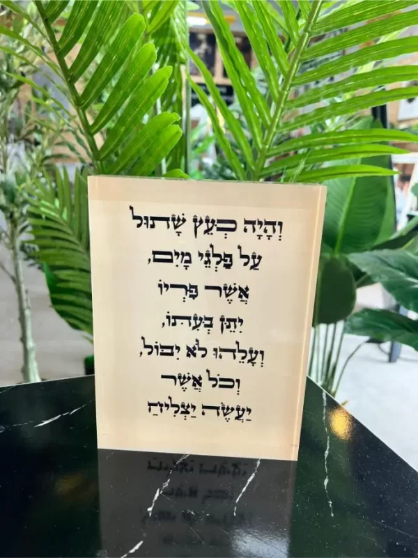 מעמד אקרילי והיה כעץ שתול 005